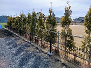 �{�H����1210